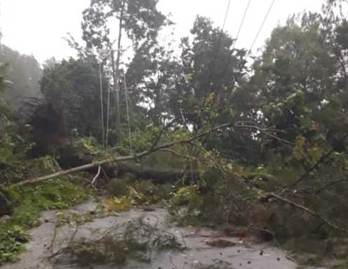 BREAKING NEWS: Longsor di Palesan dan Salubarana' Kembali Tutup Akses Poros Makale - Buakayu Tanah longsor