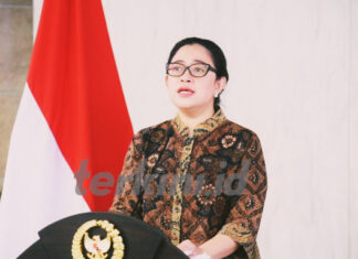 Puan Maharani, Ketua DPR RI