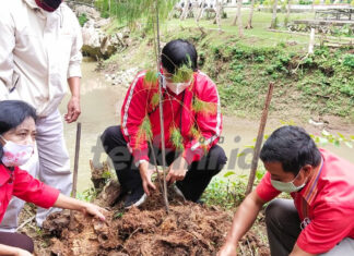 Yohanis Lintin Paembongan, Wakil Ketua DPRD Tana Toraja