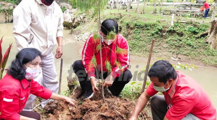 Yohanis Lintin Paembongan, Wakil Ketua DPRD Tana Toraja
