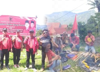 Pdi Perjuangan Tana Toraja